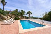 Top Torrox