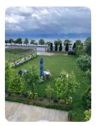 Top Pogradec Top Pogradec