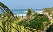 Top Playa Agua Blanca