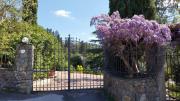 Top Prato