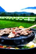 Western View Chiangdao Camping