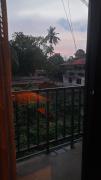 Top Alleppey Top Alleppey