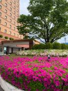 Top Hashima