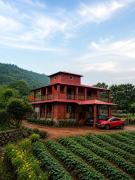 Top Kelghar