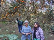Top Mirik