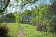 Top Kenplains