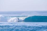 Top Maluk