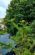 Top Teplice