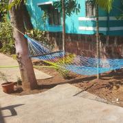 Top Malvan