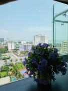 Top Cửa Lô