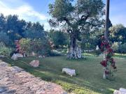 Top Ostuni