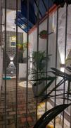 The Shilpa Villa