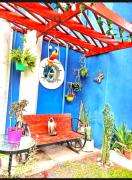 Top Esquina