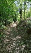 Top Gornji Milanovac