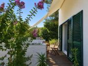 Kokos home