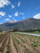 Valentinhof - organic farm