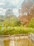 Top Trumpington