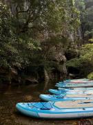 Top Phong Nha