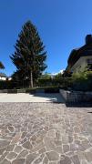Top Bled