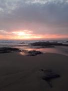 Top Kingsburgh