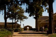 Top Tavira