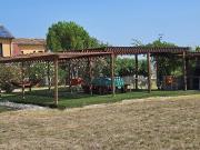 Top Penna Alta