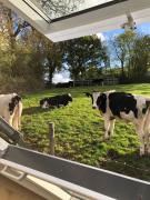 Top Cullompton