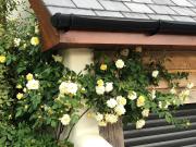 Top Cullompton
