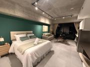 11th floor Modern City Loft in Zona Rosa San Benito