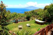 Top Sorrento