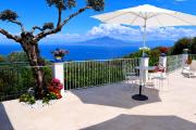 Top Sorrento