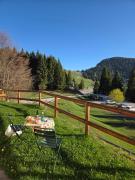 Top Ledro
