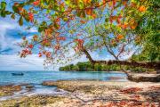 Beachfront Studio - King Bed - Fast WiFi - AC