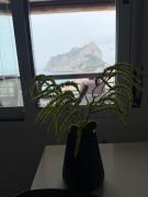 Top Calpe