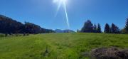 Profumo di montagna - Residence ai Caprioli Tarvisio