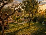Top Pienza