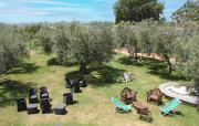 Top Pescia Romana