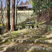 Top Kameoka
