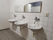 Top Brno