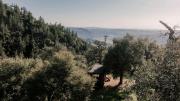 Top Pauma Valley