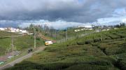 Top Ooty