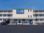 Top Chincoteague
