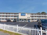 Top Chincoteague