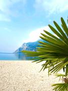 Top Riva del Garda