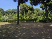 Top Milano Marittima