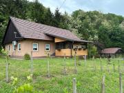 Top Veliko Trgovišće