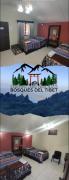 Bosques del Tibet