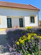 Top Hlohovec