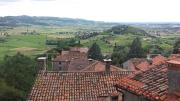 Top Brendola