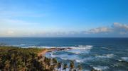 Coconut Tree hill Rekawa